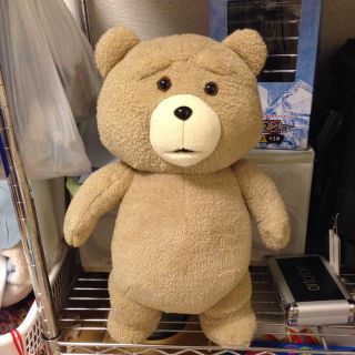 早いもの勝ち！他サイトでも出品！ted！(ぬいぐるみ)