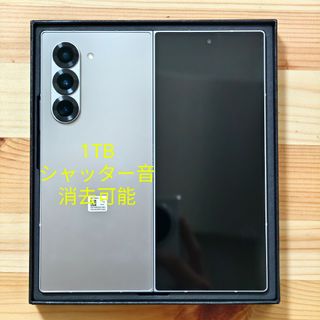 Samsung Galaxy Z Fold6 Silver 1TB US版(スマートフォン本体)