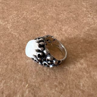 Geodesique - 【新品】ジィオデシック オアシスリング 15号の Geodesique - 【新品】ジィオデシック オアシスリング 15号の