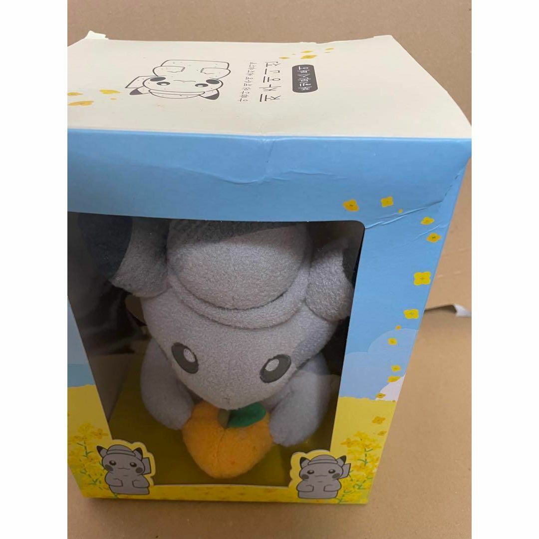 韓国チェジュ島限定 ピカチュウぬいぐるみ 韓国チェジュ島限定 ピカチュウぬいぐるみ