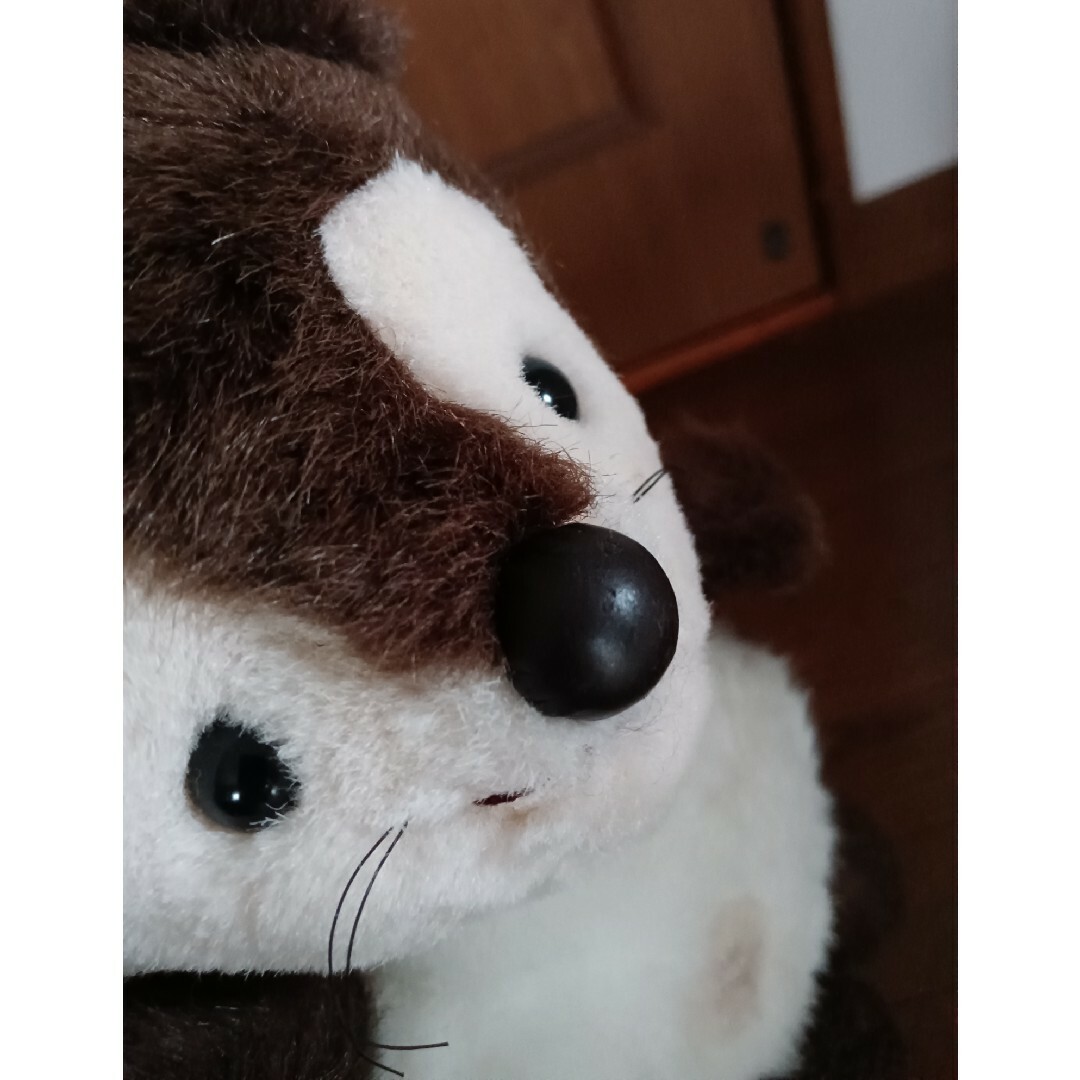 ファースト社 たぬきのたま吉 ぬいぐるみ ファースト社 たぬきのたま吉 ぬいぐるみ