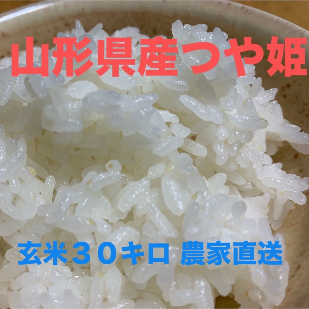 ④【翌日発送】令和6年 茨城県産 新米コシヒカリ 30kg ④【翌日発送】令和6年 茨城県産 新米コシヒカリ 30kg