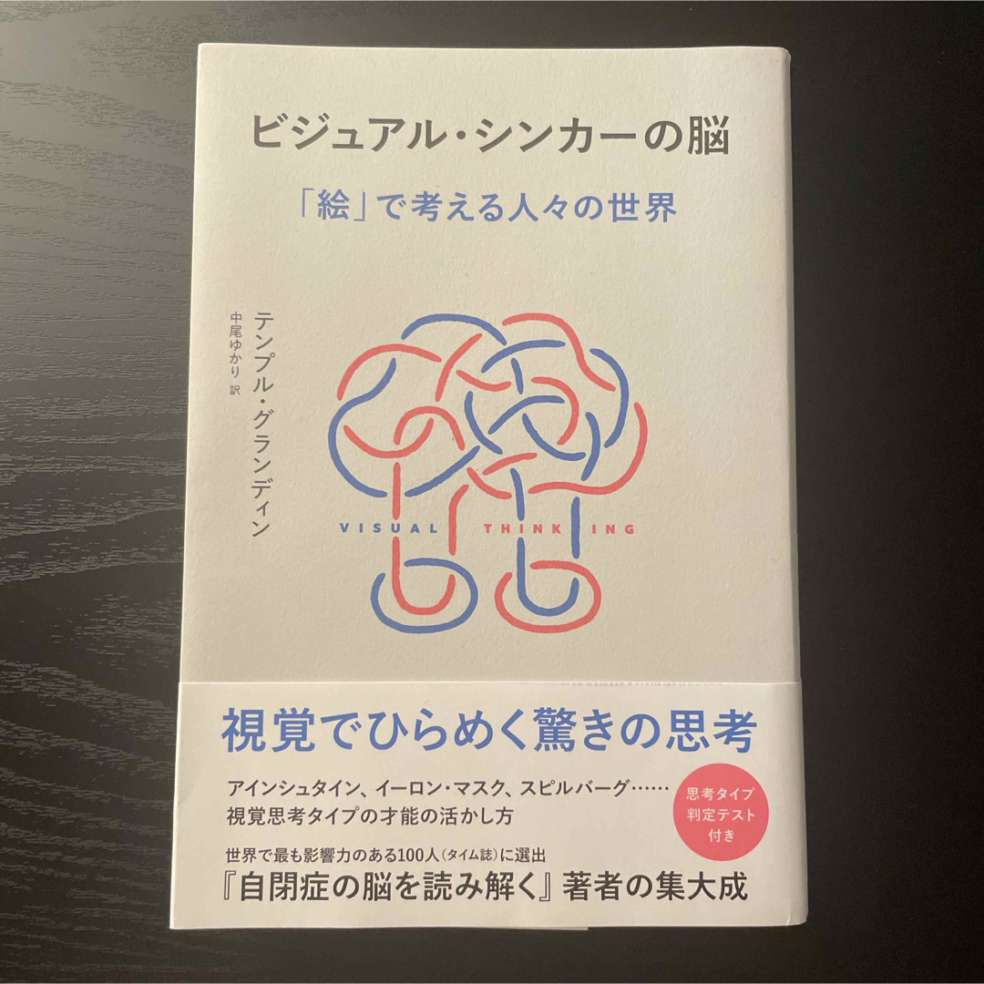 ビジュアル・シンカーの脳 エンタメ/ホビーの本(文学/小説)の商品写真