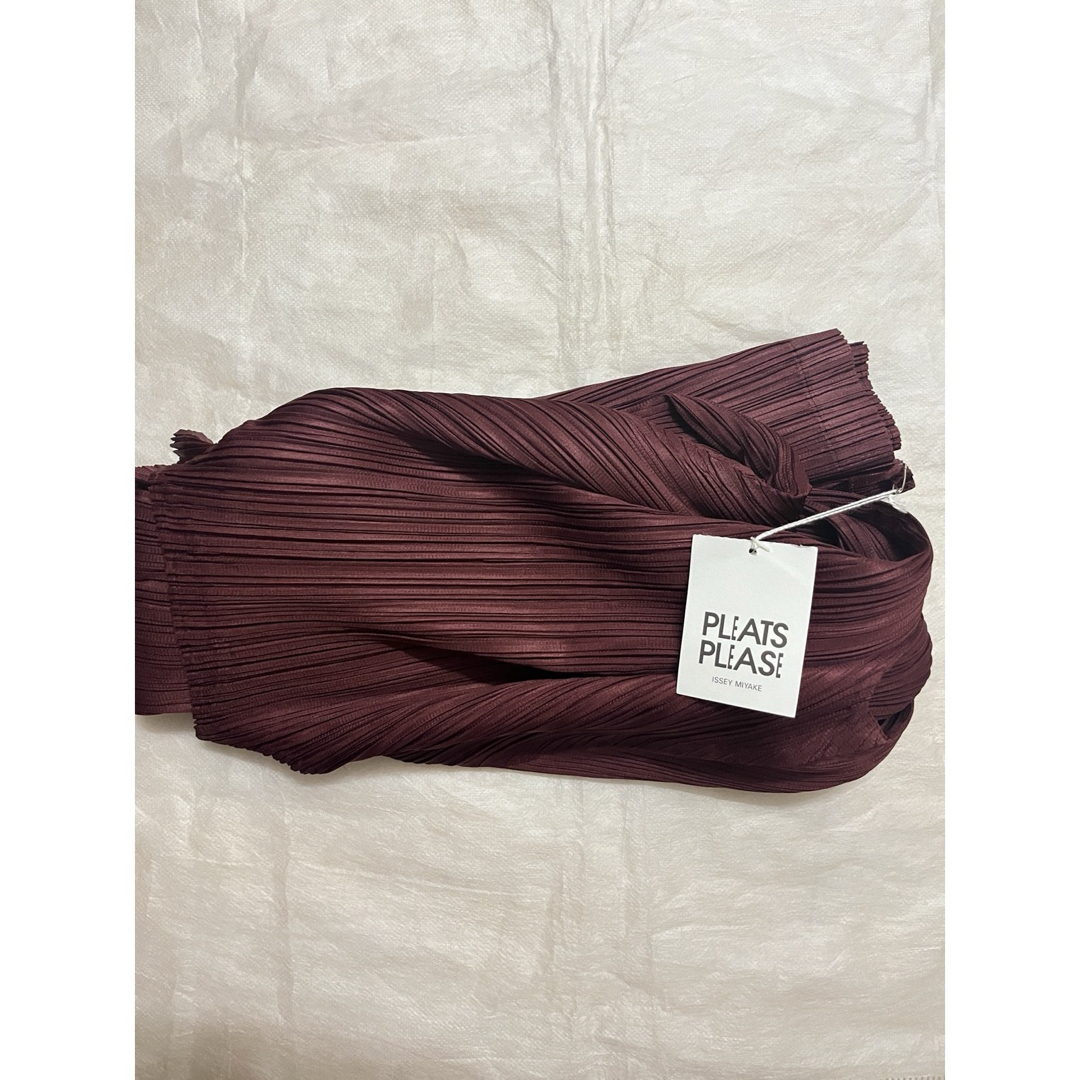 PLEATS PLEASE ISSEY MIYAKE - プリーツプリーズ ワンピースの PLEATS PLEASE ISSEY MIYAKE - プリーツプリーズ ワンピースの