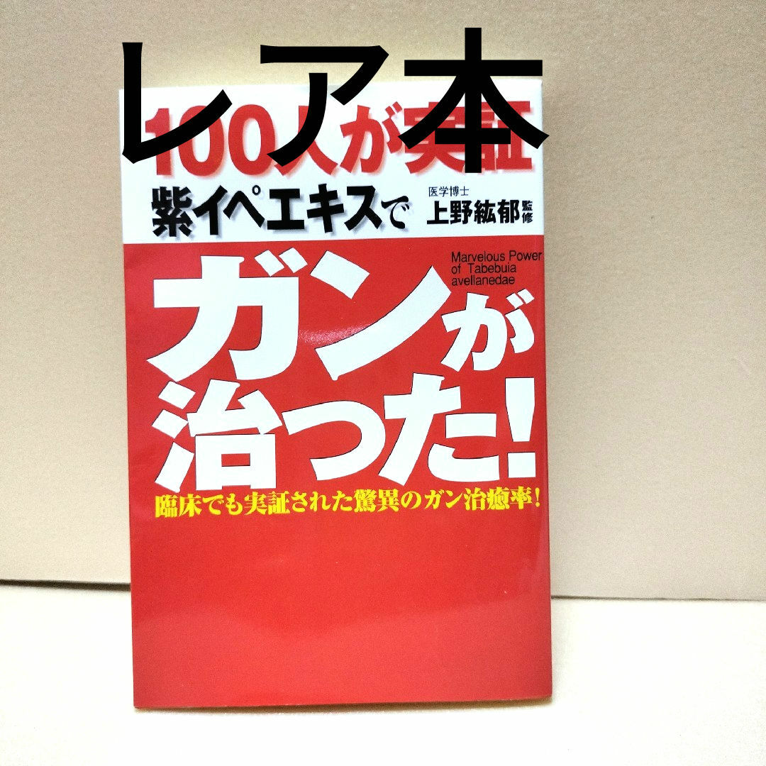 VU11-063 代々木ゼミナール 代ゼミ 英語 一生モノの英作文術 VU11-063 代々木ゼミナール 代ゼミ 英語 一生モノの英作文術