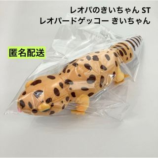 レオパのきいちゃん ぬいぐるみ 物々しい レオパのきいちゃん ぬいぐるみ 物々しい