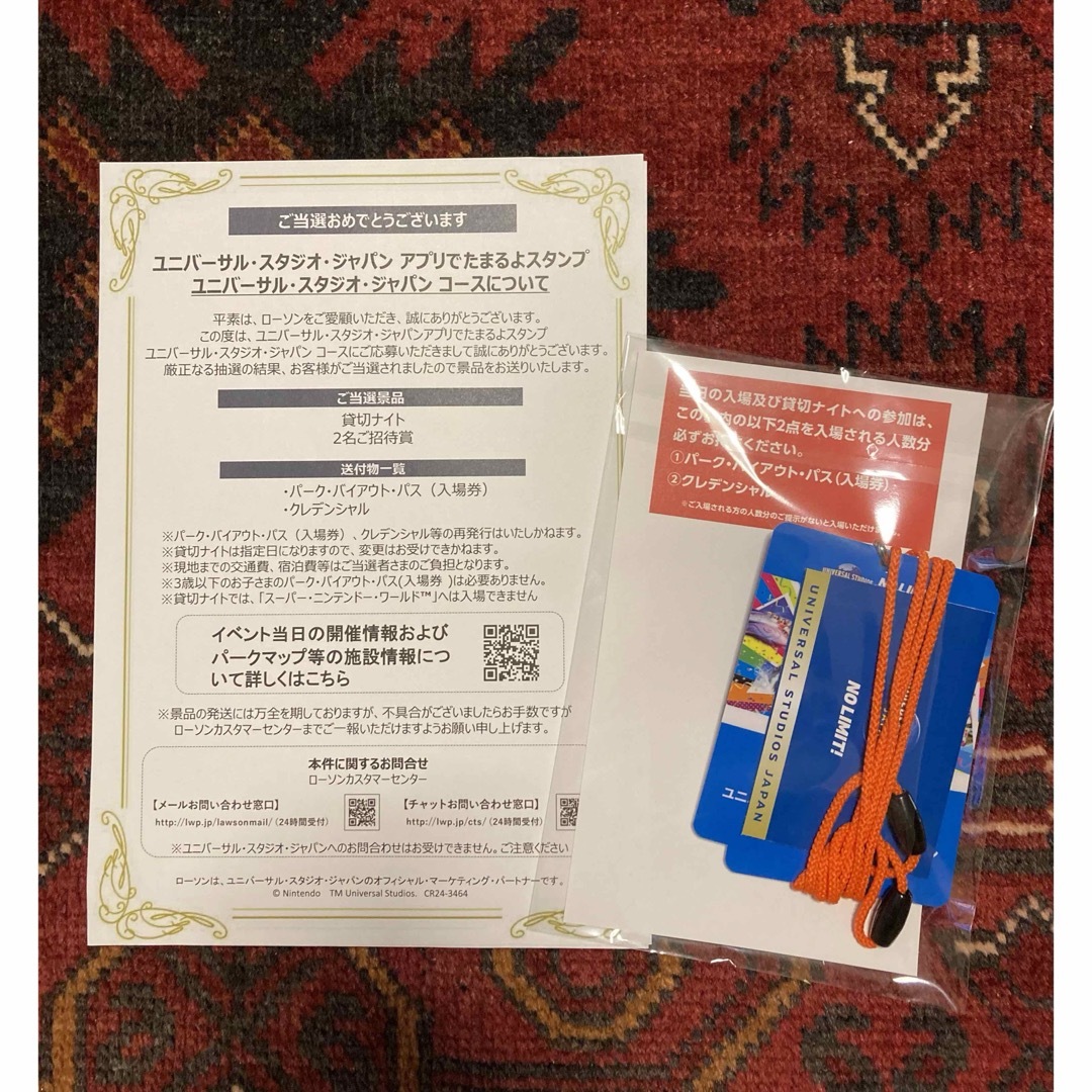11/15 大人 USJ貸切ナイト 11/15 大人 USJ貸切ナイト