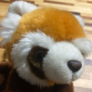 レッサーパンダ ぬいぐるみ 約20cm(ぬいぐるみ)