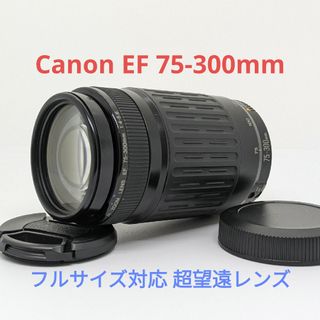 Canon - 4月2日限定販売♪【超望遠レンズ】Canon EF 75-300mmの Canon - 4月2日限定販売♪【超望遠レンズ】Canon EF 75-300mmの