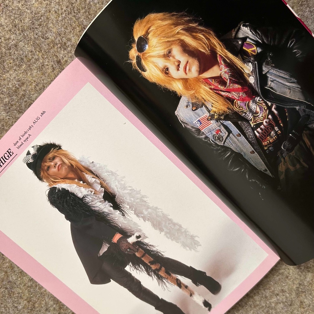 絶版本】ZIGGY ジギー全角度分析図鑑 バンド 宝島 写真集 本 森