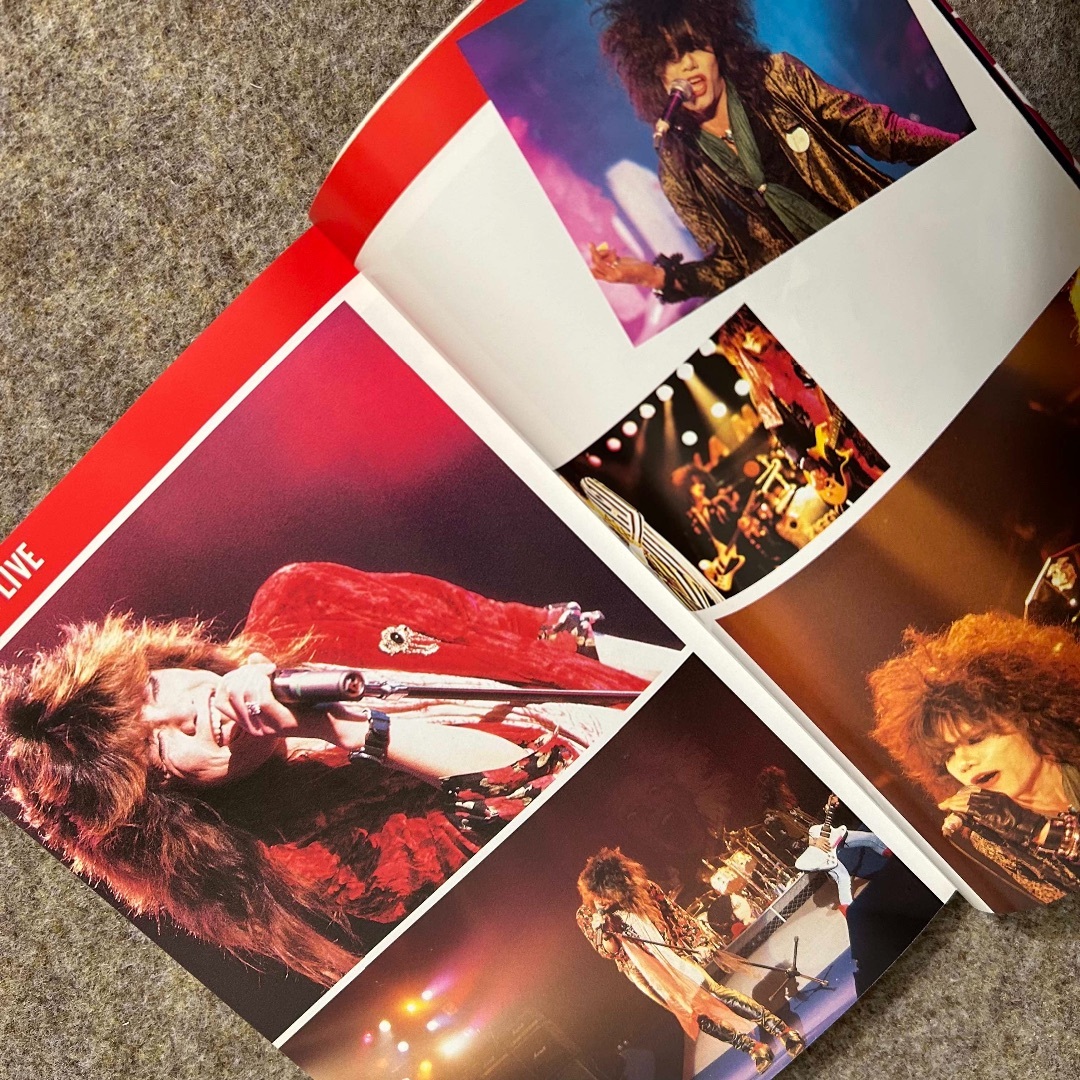 絶版本】ZIGGY ジギー全角度分析図鑑 バンド 宝島 写真集 本 森