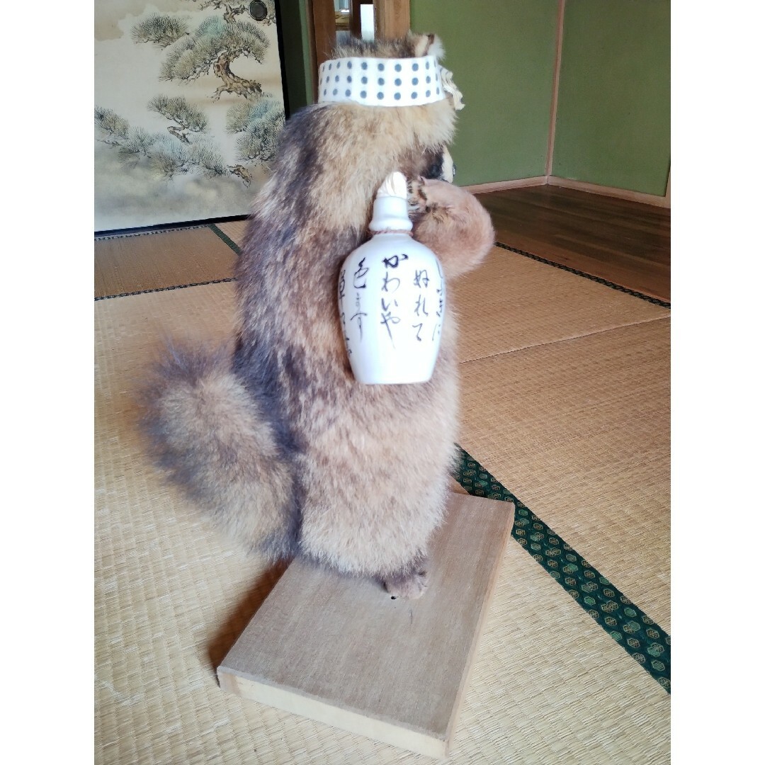 たぬきの剥製の通販 by キムキム's shop|ラクマ たぬきの剥製の通販 by キムキム's shop|ラクマ