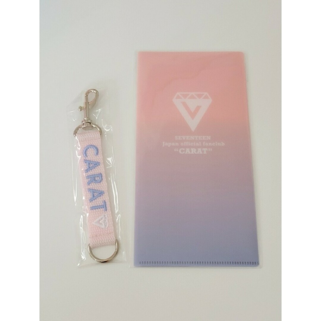 SEVENTEEN(セブンティーン)のSEVENTEEN JAPAN ファンクラブ入会限定チケットホルダー エンタメ/ホビーのCD(K-POP/アジア)の商品写真