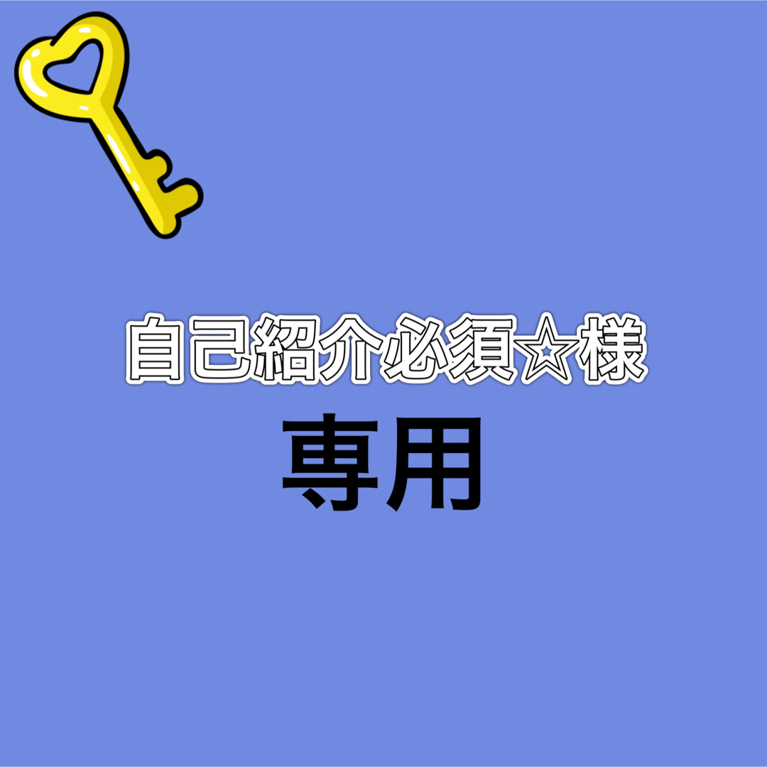 自己紹介必須☆様専用