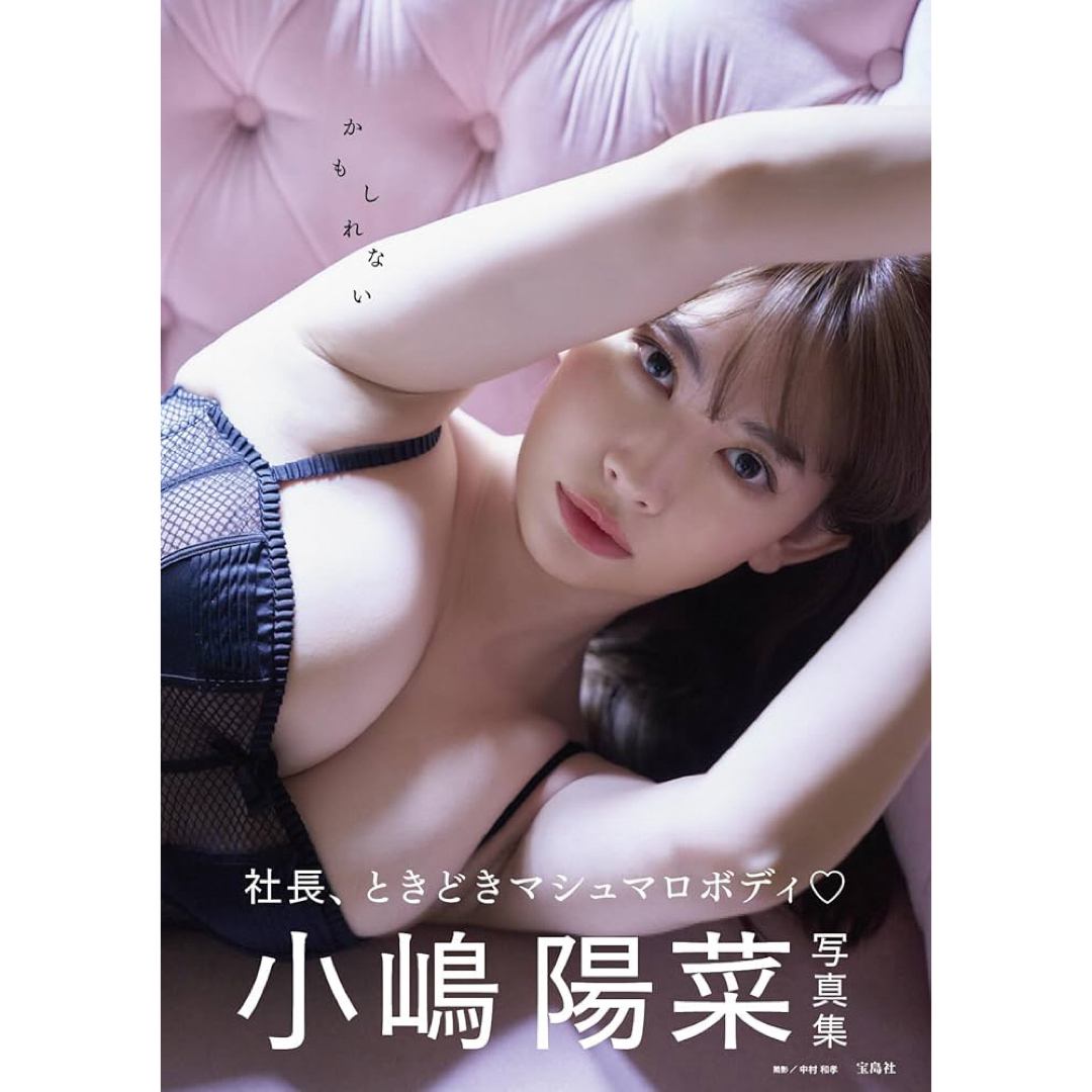 Her lip to(ハーリップトゥ)の小嶋陽菜 写真集 かもしれない エンタメ/ホビーのタレントグッズ(女性タレント)の商品写真