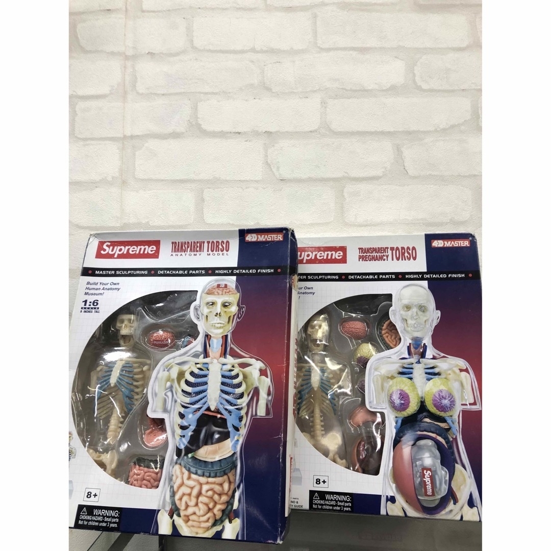 Supreme Anatomy Male Female シュプリーム 人体模型 Supreme Anatomy Male Female シュプリーム 人体模型