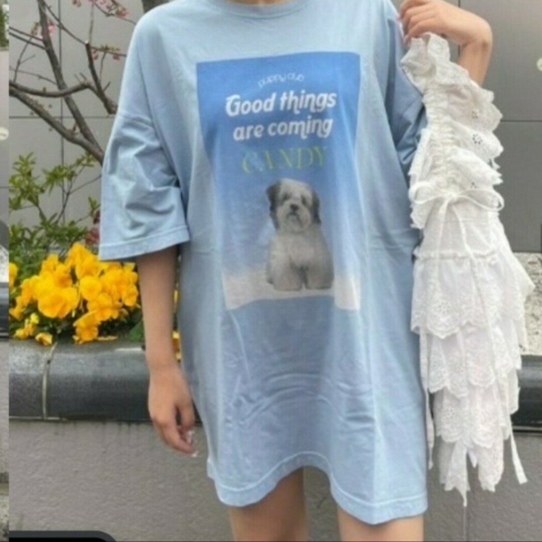 Candy Stripper - GOOD PUPPY BIG BIG Tシャツ Candy Stripperの