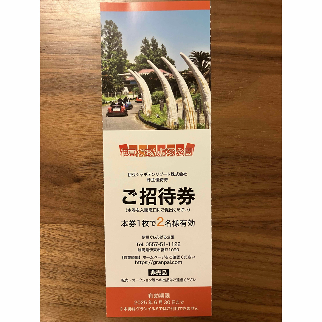 伊豆シャボテン 伊豆ぐらんぱる公園 全日 1枚2名様 全日 ご招待券 zq チケットの施設利用券(遊園地/テーマパーク)の商品写真