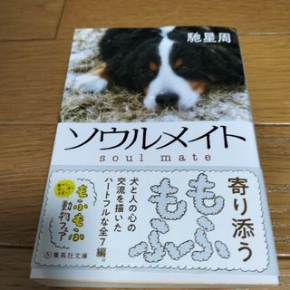 ソウルメイト