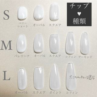 【No.115】キラキラ蝶々♡ミラーフレンチ オーロラホロ ワンホンネイルチップ ハンドメイドのアクセサリー(ネイルチップ)の商品写真