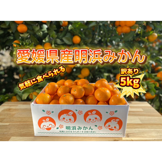 愛媛県産明浜みかん　訳あり　5kg(フルーツ)