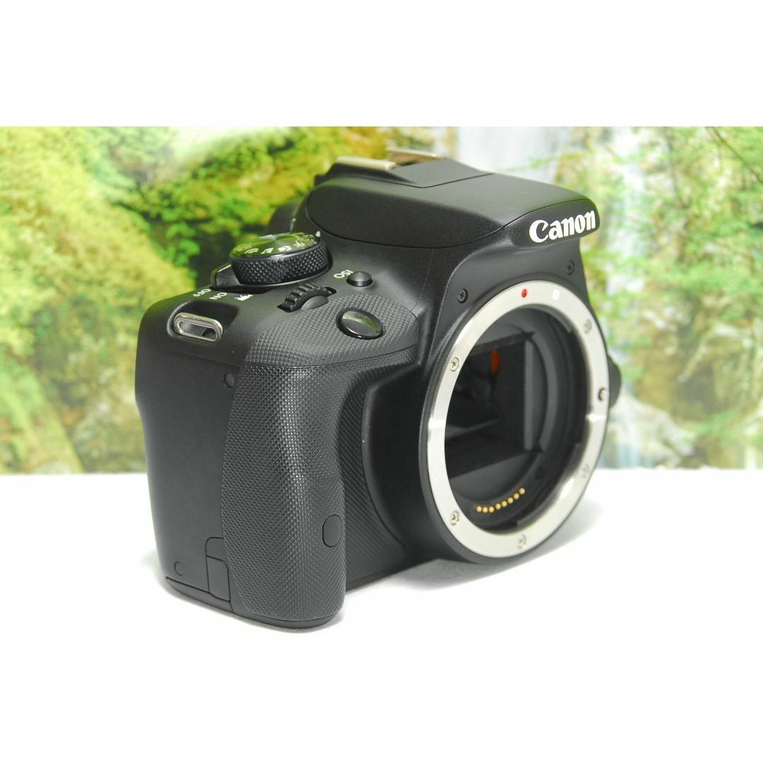 ✨Canon EOS Kiss X7 美品 高画質 軽量 動画撮影 初心者OK✨ ✨Canon EOS Kiss X7 美品 高画質 軽量 動画撮影 初心者OK✨