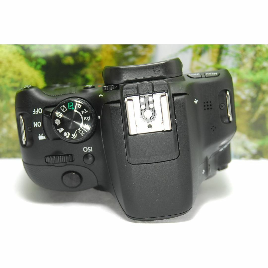 ✨Canon EOS Kiss X7 美品 高画質 軽量 動画撮影 初心者OK✨ ✨Canon EOS Kiss X7 美品 高画質 軽量 動画撮影 初心者OK✨