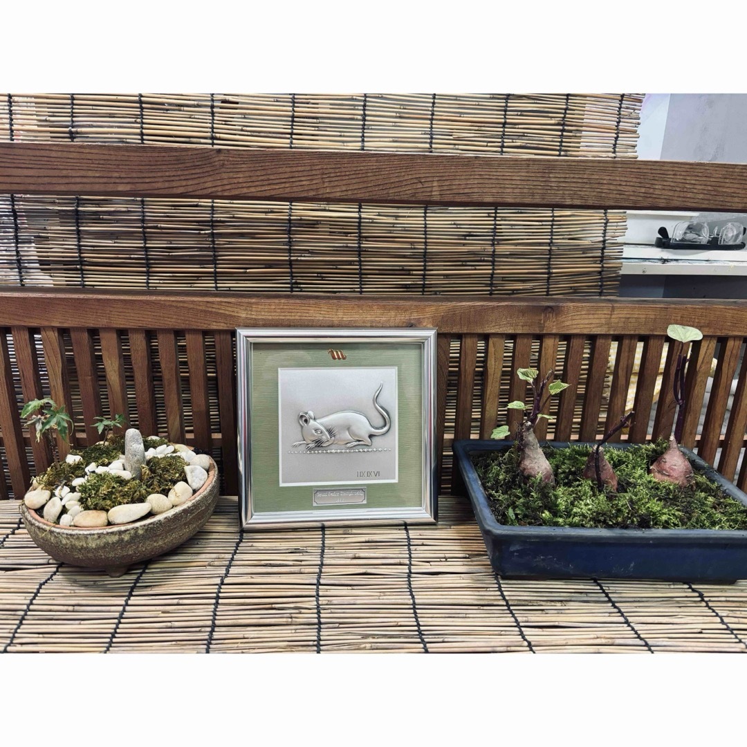 12 支 干支 猿だけ無し 新品 美品 11枚