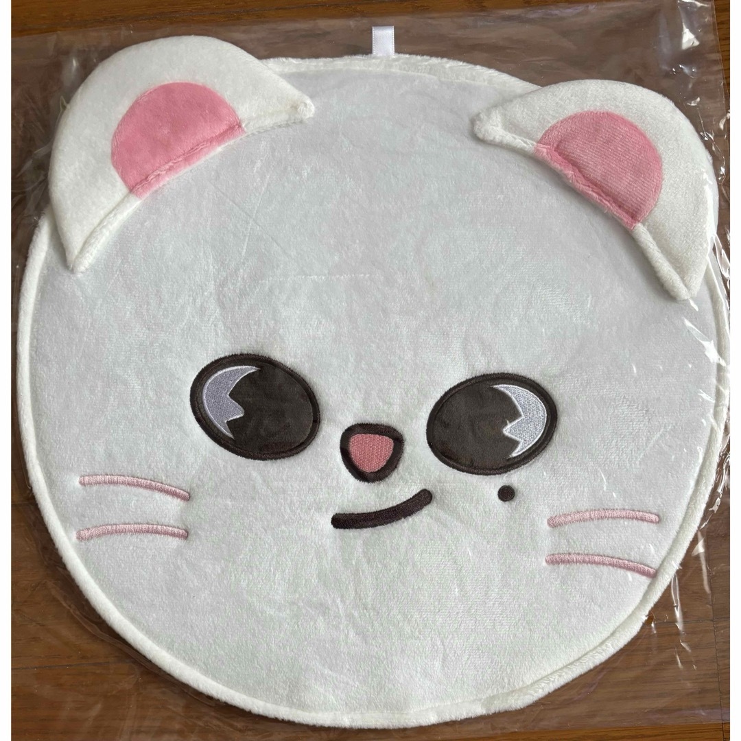 straykids skzoo jiniretうちわケース エンタメ/ホビーのタレントグッズ(アイドルグッズ)の商品写真