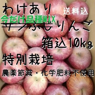 わけありリンゴ詰め合わせ箱込10kg《特別栽培》(フルーツ)