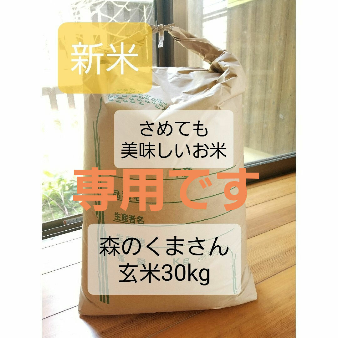 専用です!めっちゃうまい!淡路島産森のくまさん、新米白米の 専用です!めっちゃうまい!淡路島産森のくまさん、新米白米の