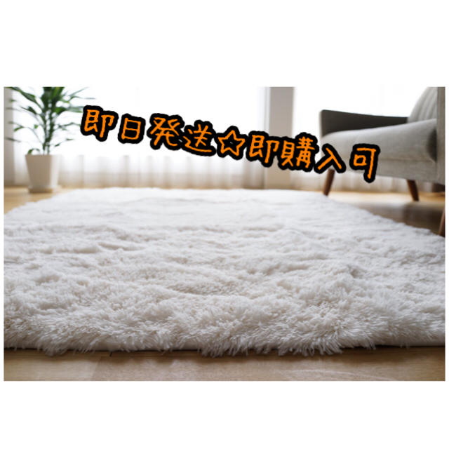 【即購入ok】カーペット☆エクセレントムーティ－Ⅱ95ｘ140ｃｍ 丸洗い可  インテリア/住まい/日用品のラグ/カーペット/マット(カーペット)の商品写真