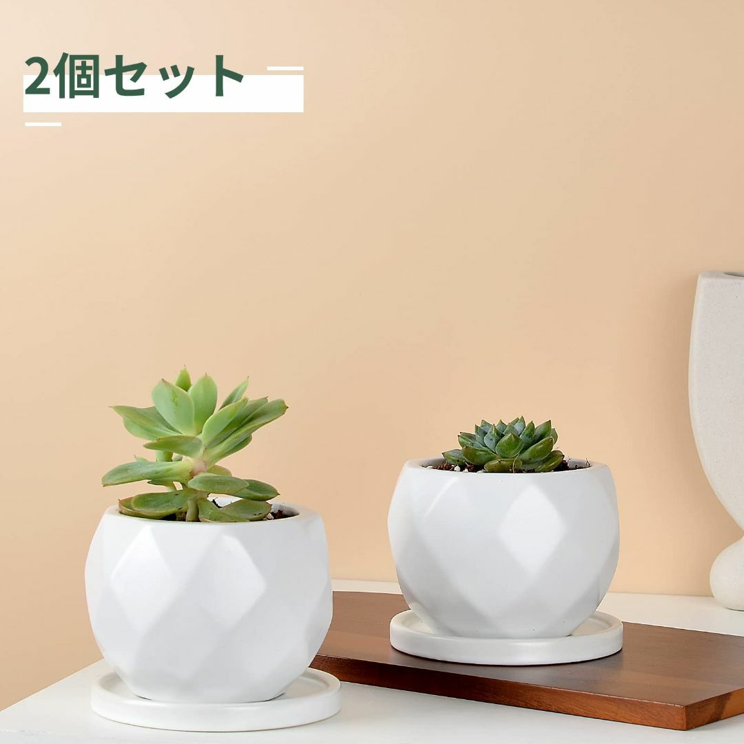 色:ホワイト】Umlaca 多肉植物 鉢 陶器 植木鉢 小型 底穴あり 色:ホワイト】Umlaca 多肉植物 鉢 陶器 植木鉢 小型 底穴あり