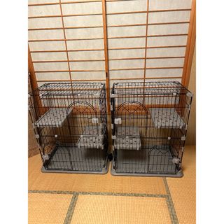 猫 ゲージ(猫)