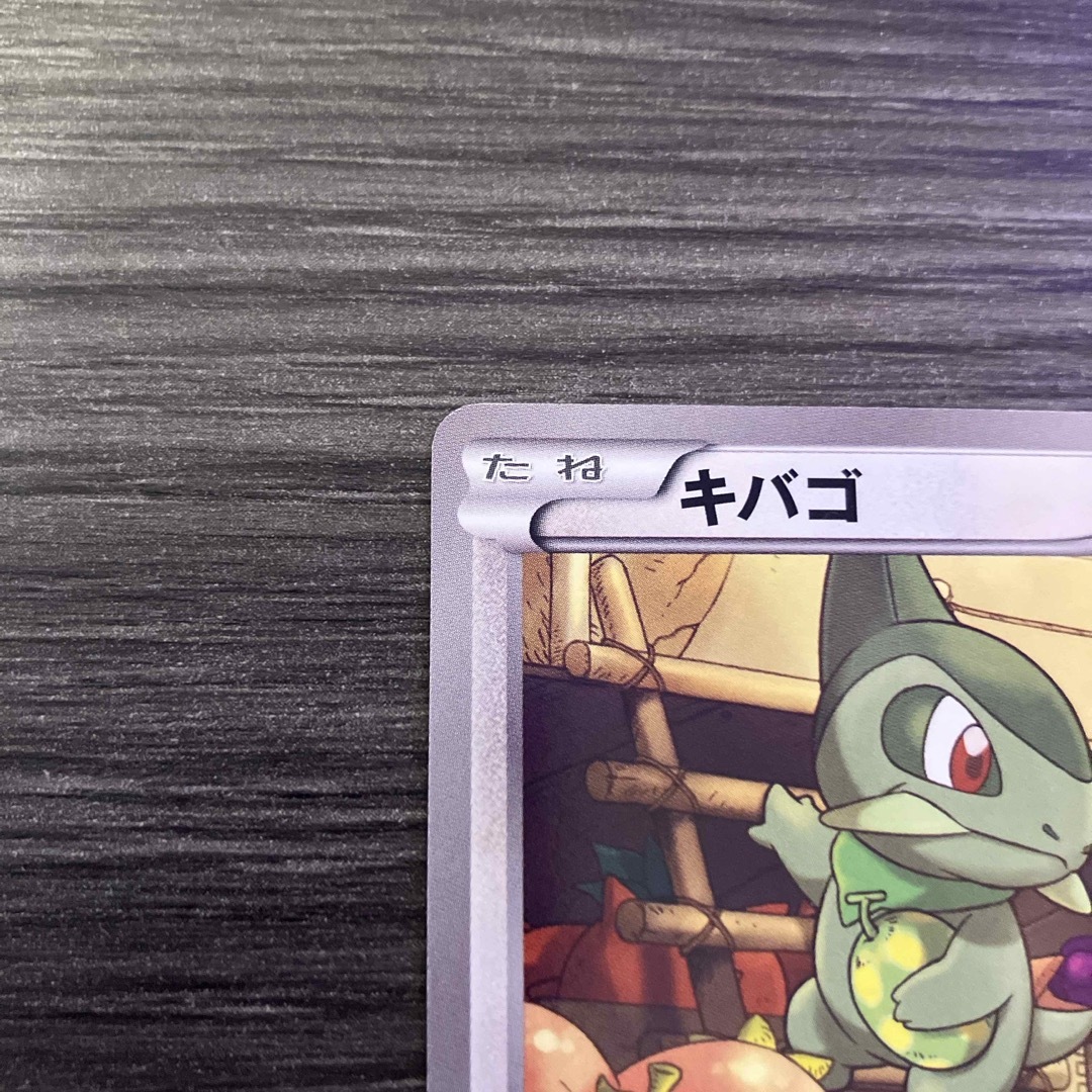 A885】ポケモンカード キバゴ ピザーラ 050/BW-P PROMO