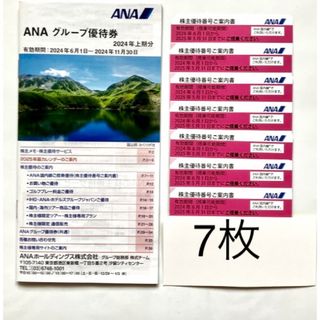 エーエヌエー(ゼンニッポンクウユ)(ANA(全日本空輸))の全日空　ANA株主優待券　グループ優待券　(航空券)