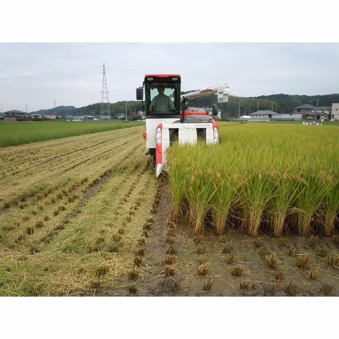 【 ෆ⃛ Rady ෆ⃛ 様】専用　玄米（8㎏×3袋）令和６年産新米ブレンド米
