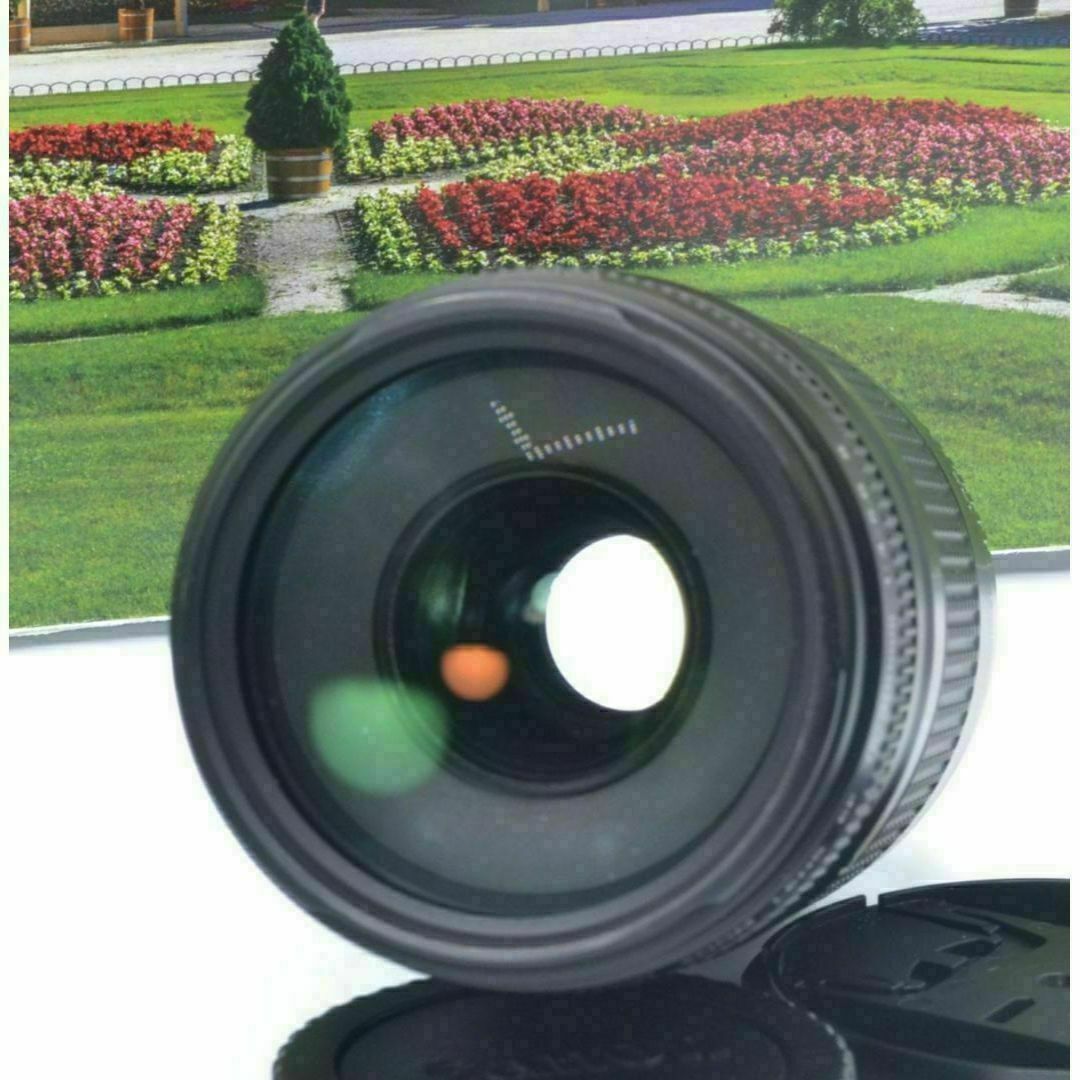 ♢キヤノン Canon 記憶を記録へ! 望遠レンズ EF75-300mm ♢キヤノン Canon 記憶を記録へ! 望遠レンズ EF75-300mm