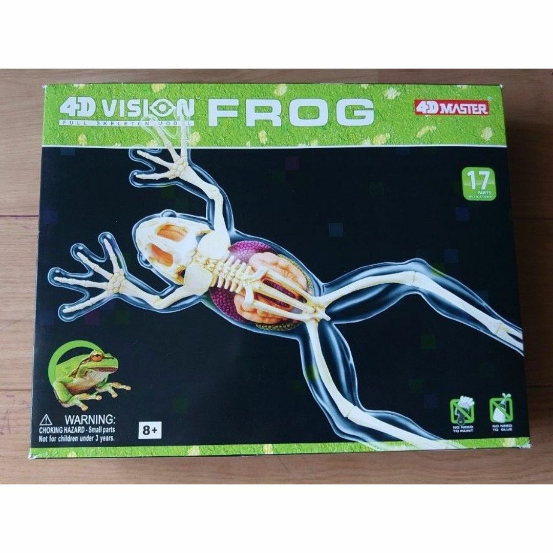 新品 4Dビジョン 三毛猫 解剖モデル 4D VISION 有難 Calico Cat 新品 4Dビジョン 三毛猫 解剖モデル 4D VISION 有難 Calico Cat