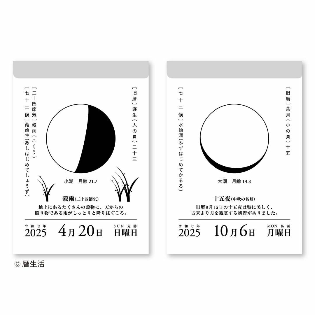 新日本カレンダー 2025年 カレンダー 日めくり 月と暦 175×95mm N その他のその他(その他)の商品写真