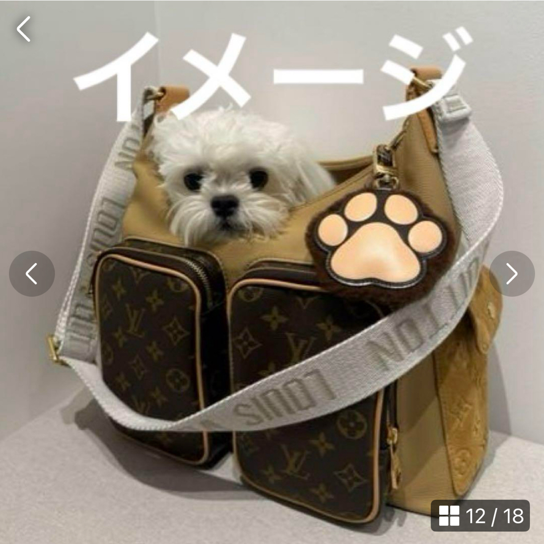 LOUIS VUITTON - ルイヴィトン 新品未使用♪ファレル春夏プレ LOUIS VUITTON - ルイヴィトン 新品未使用♪ファレル春夏プレ