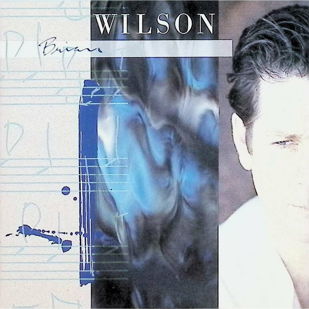Brian Wilson　ブライアン・ウィルソン　 レコード BRIAN WILSON / Same (LP) / Sire | WAXPEND RECORDS