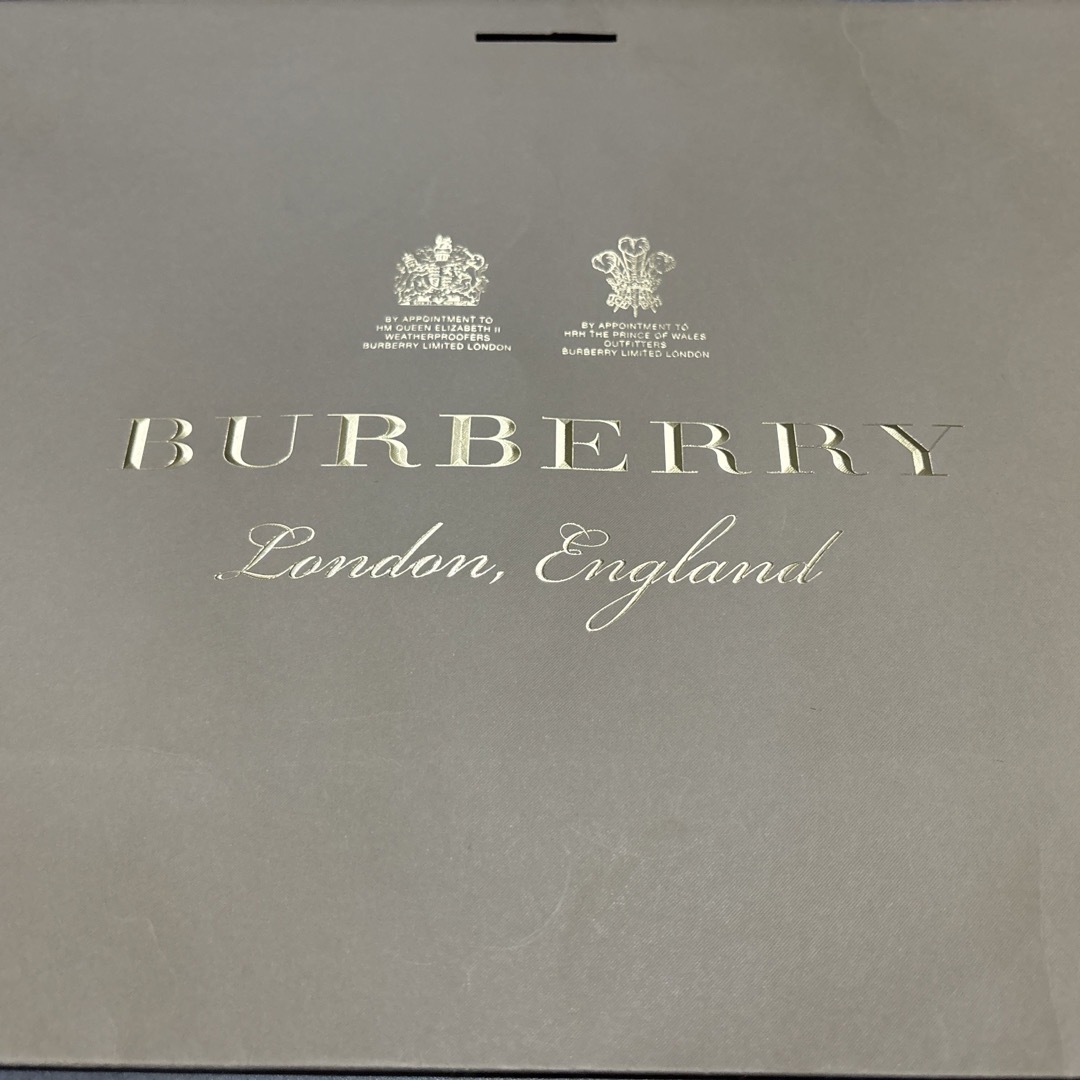 BURBERRY - バーバリー ショッパーショップ袋の通販 by shop BURBERRY - バーバリー ショッパーショップ袋の通販 by shop