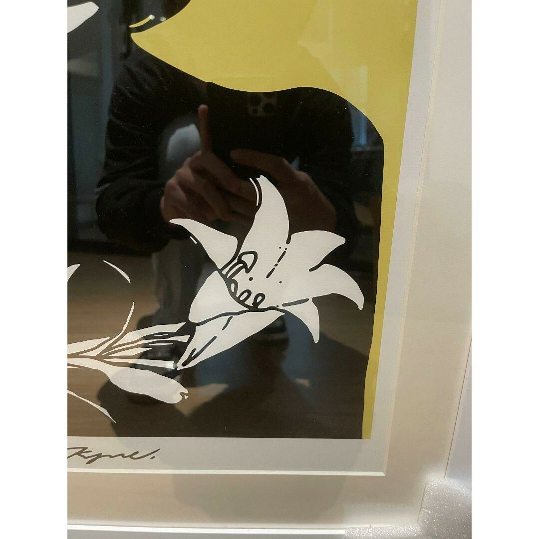 KYNE あこがれの色彩 KYNE あこがれの色彩