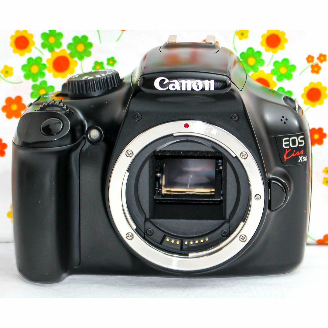 Canon kiss x50☆スマホにラクラク転送!☆一眼レフ☆高性能映像 Canon kiss x50☆スマホにラクラク転送!☆一眼レフ☆高性能映像