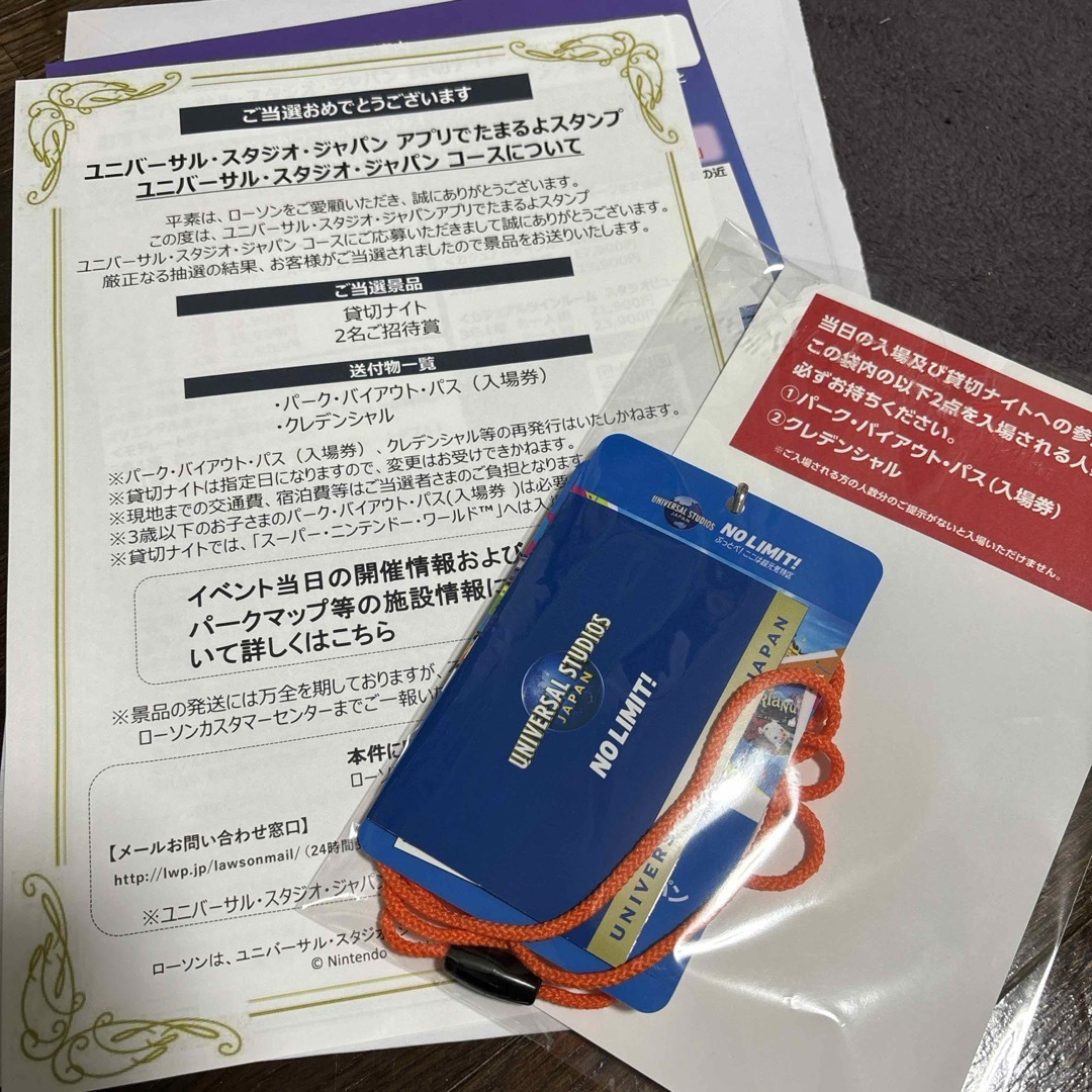 ニンテンドー確約 ユニバーサル 3月15日貸切 4人分 (3/15】 USJ ニンテンドー確約 ユニバーサル 3月15日貸切 4人分 (3/15】 USJ