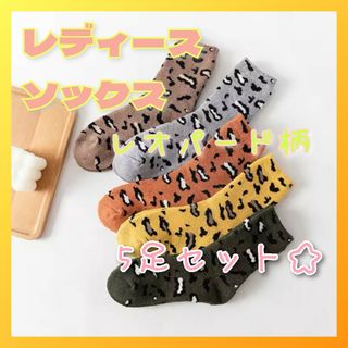 【靴下】くつ下　ソックス　レディース　おしゃれ  チェック　レオパード5足セット(ソックス)