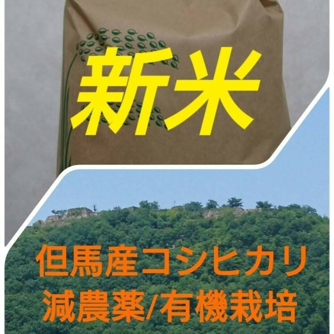 あんちゃん様専用 あんちゃん様専用