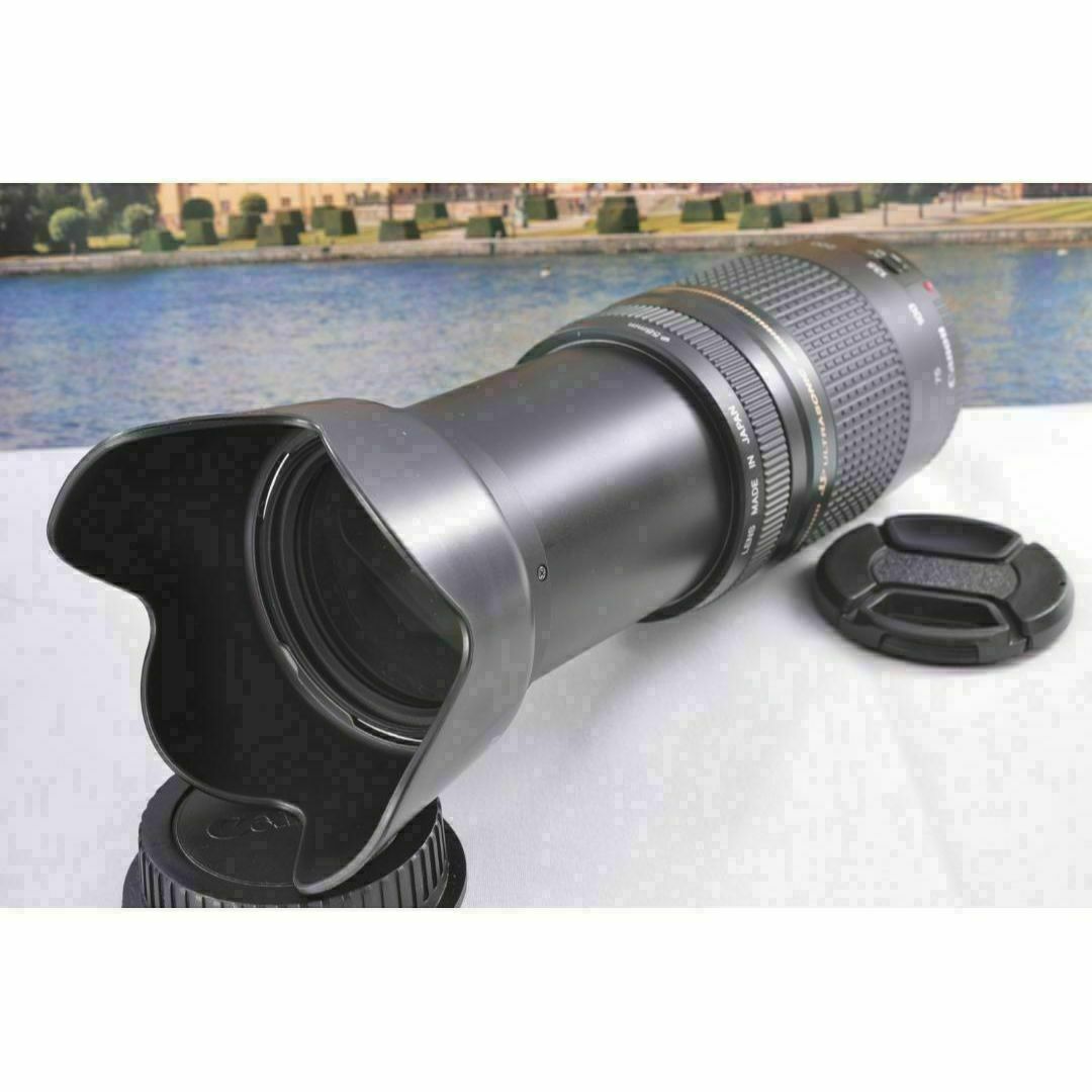 ♢Canon キヤノン 望遠レンズ 永久保存、瞬間激写! EF75-300mm ♢Canon キヤノン 望遠レンズ 永久保存、瞬間激写! EF75-300mm