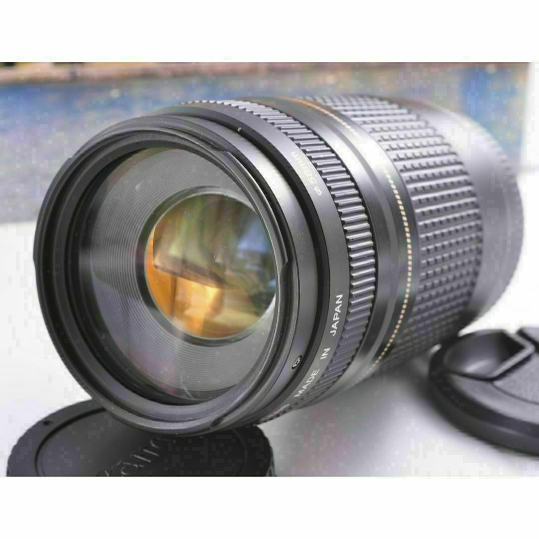 ♢Canon キヤノン 望遠レンズ 永久保存、瞬間激写! EF75-300mm ♢Canon キヤノン 望遠レンズ 永久保存、瞬間激写! EF75-300mm